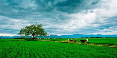 屋上土 意思